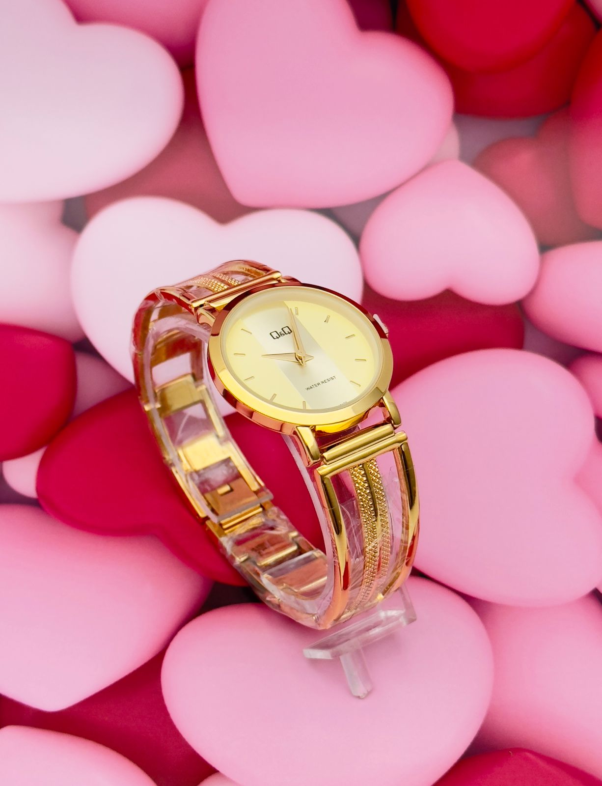 Reloj Q&Q Dama